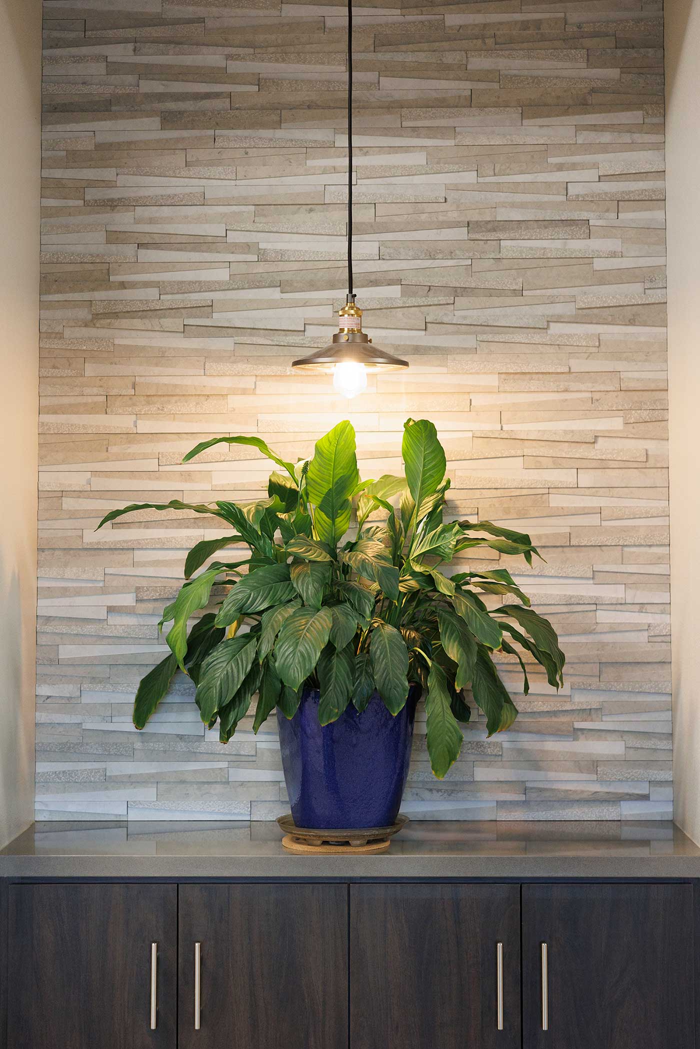 DeMera-Allergy-Asthma-and-Immunology-Center-of-Excellence